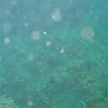 eutokia 11 giugno 1005 023
